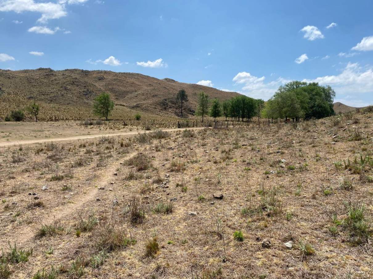 TERRENO 5000 MTS2 VILLA CIUDAD DE AMERICA