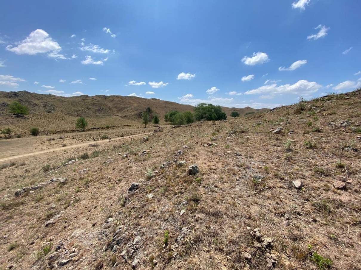 TERRENO 5000 MTS2 VILLA CIUDAD DE AMERICA