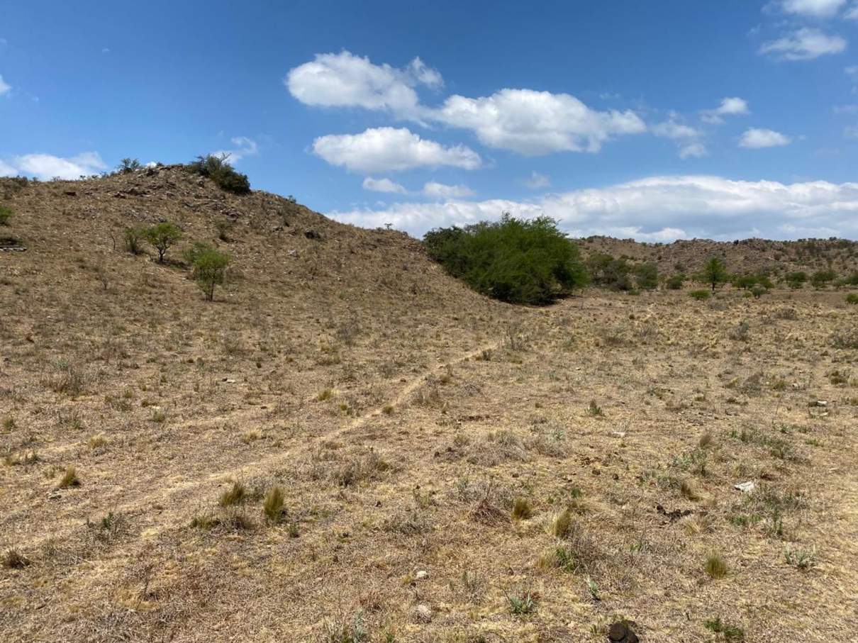 TERRENO 5000 MTS2 VILLA CIUDAD DE AMERICA