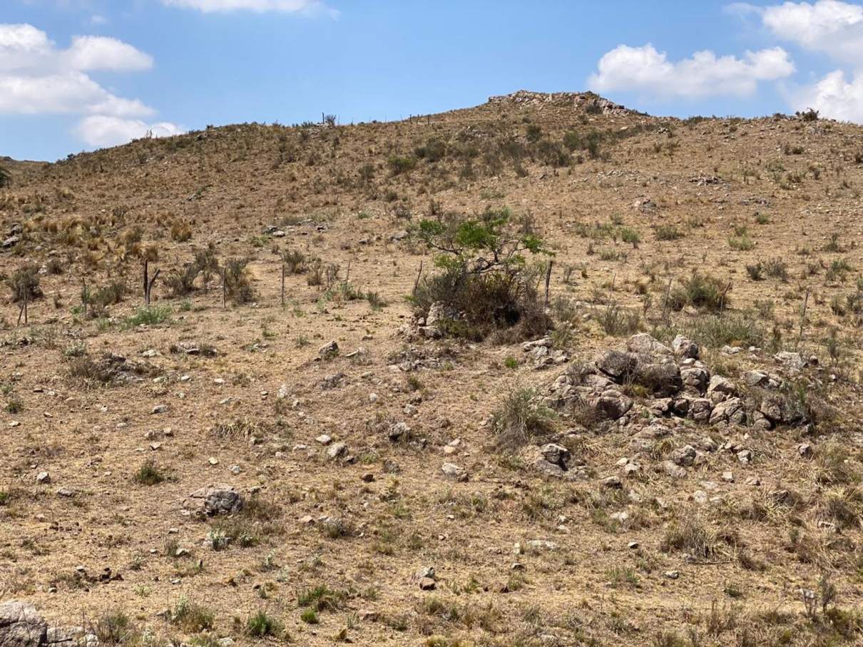 TERRENO 5000 MTS2 VILLA CIUDAD DE AMERICA