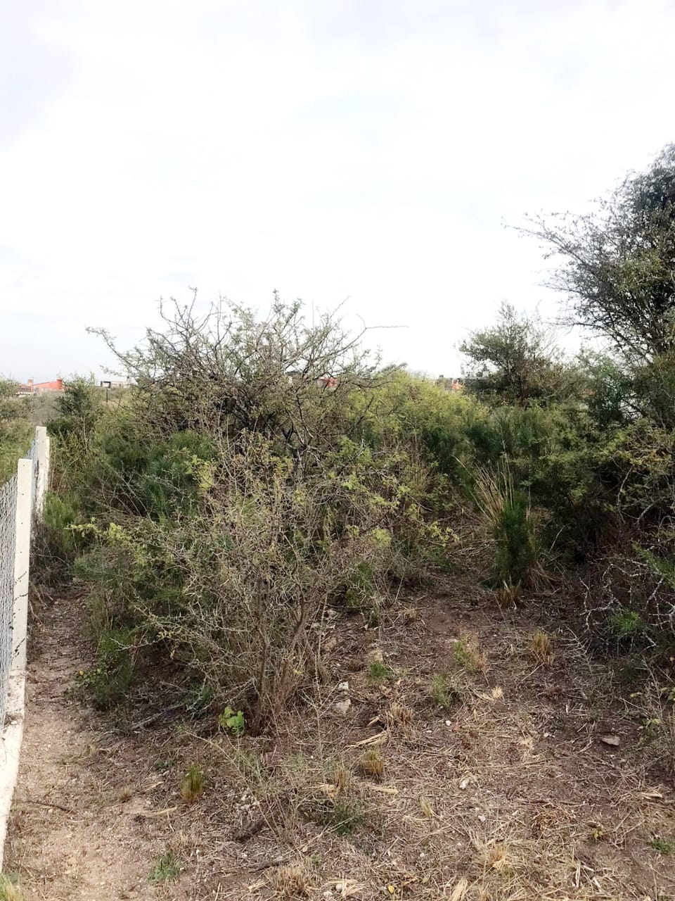 LOTE EN VENTA  .    Villa Santa Cruz del Lago.