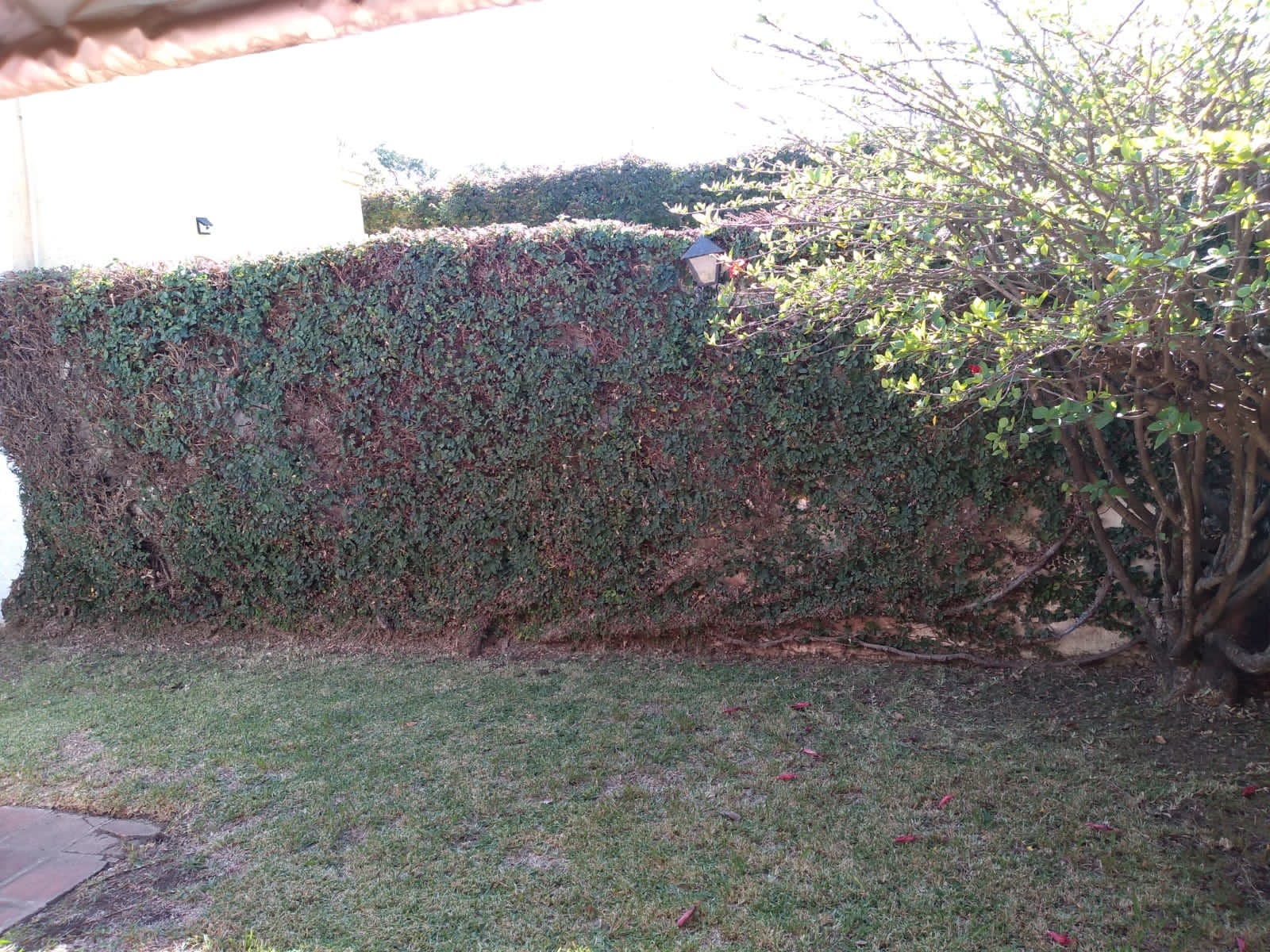 OPORTUNIDAD CASA EN VENTA EN JARDIN ESPINOSA , UNA PLANTA. ESCUCHO OFERTAS