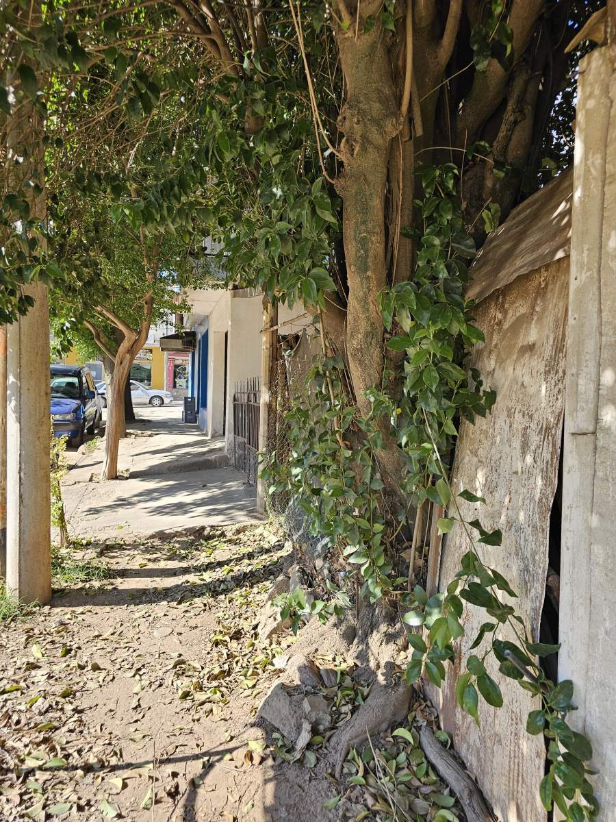 Excepcional Oportunidad de Inversión en Santa Rosa de Calamuchita