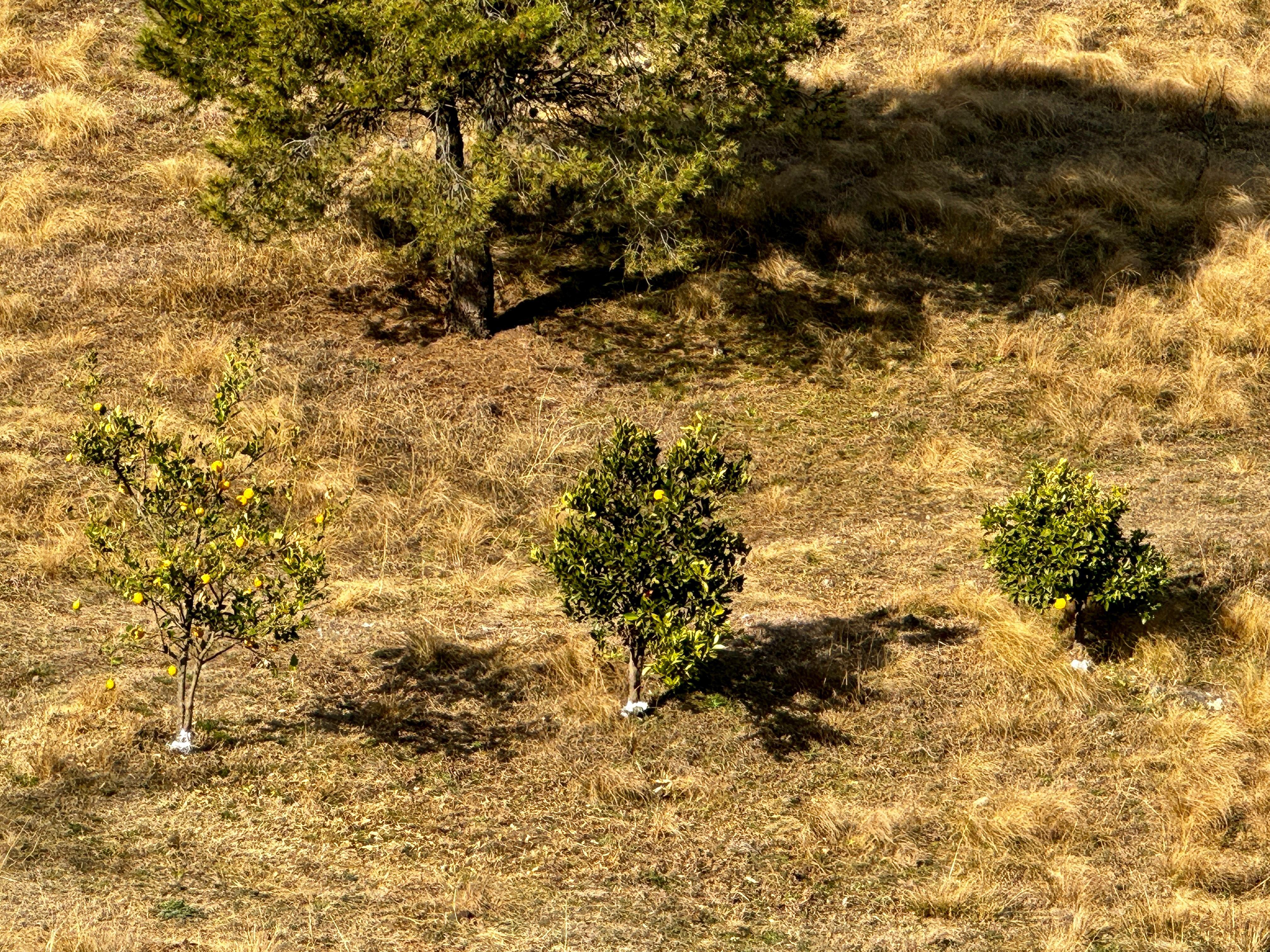 Propiedad Rural en Venta  Athos Pampa, A 3 km de La Cumbrecita