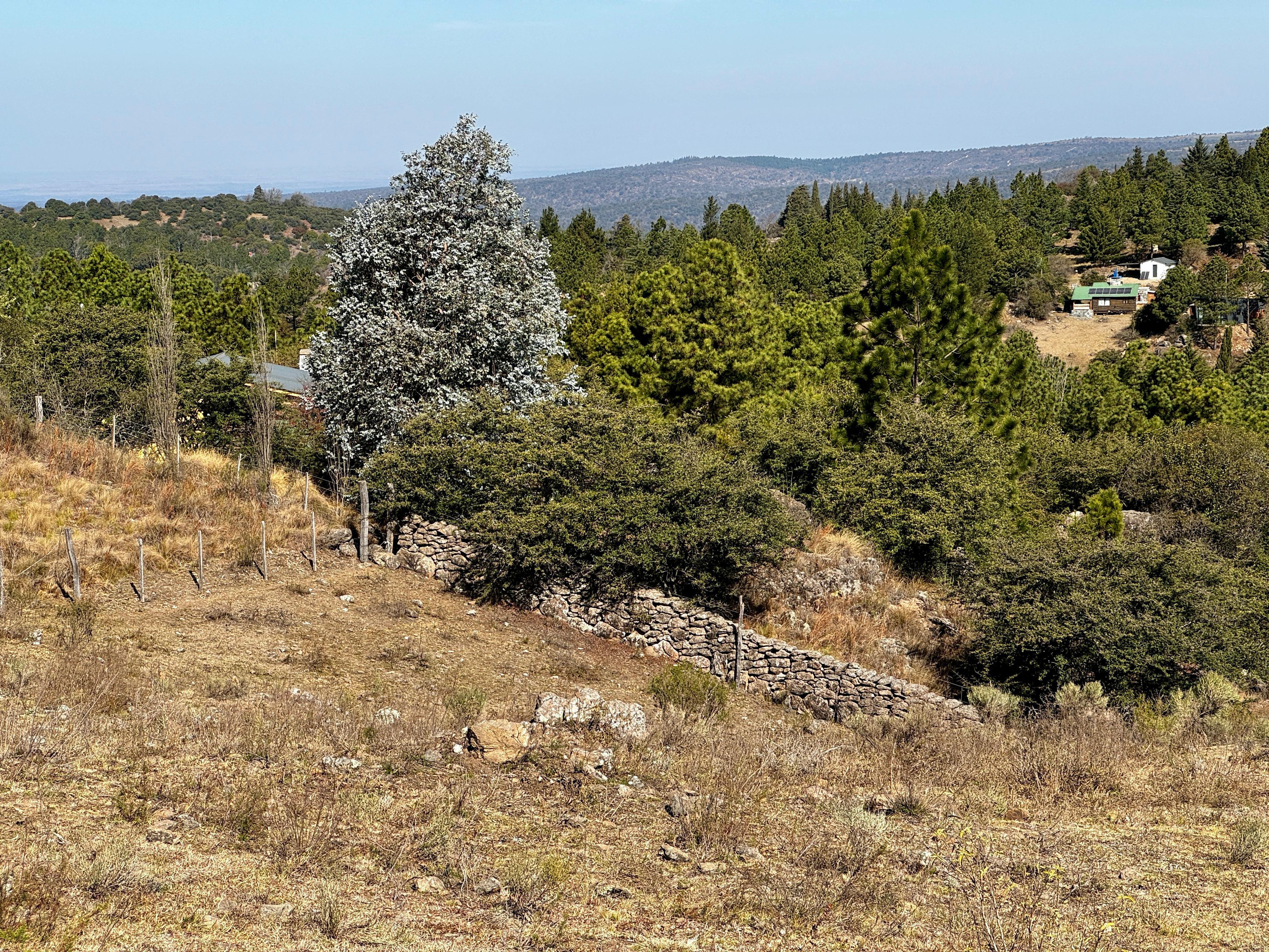 Propiedad Rural en Venta  Athos Pampa, A 3 km de La Cumbrecita
