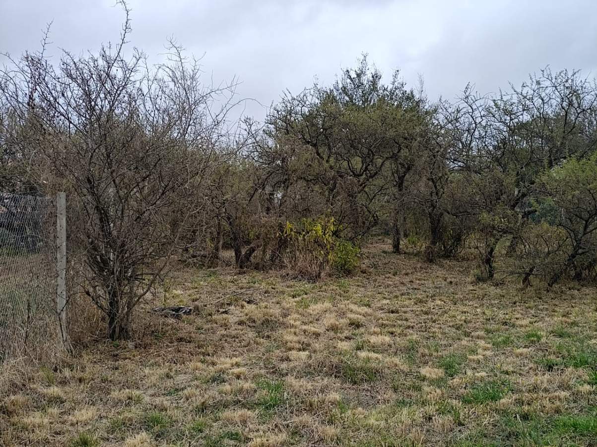 VENTA. TERRENO LOTE. TALAR DE MENDIOLAZA. CÓRDOBA.