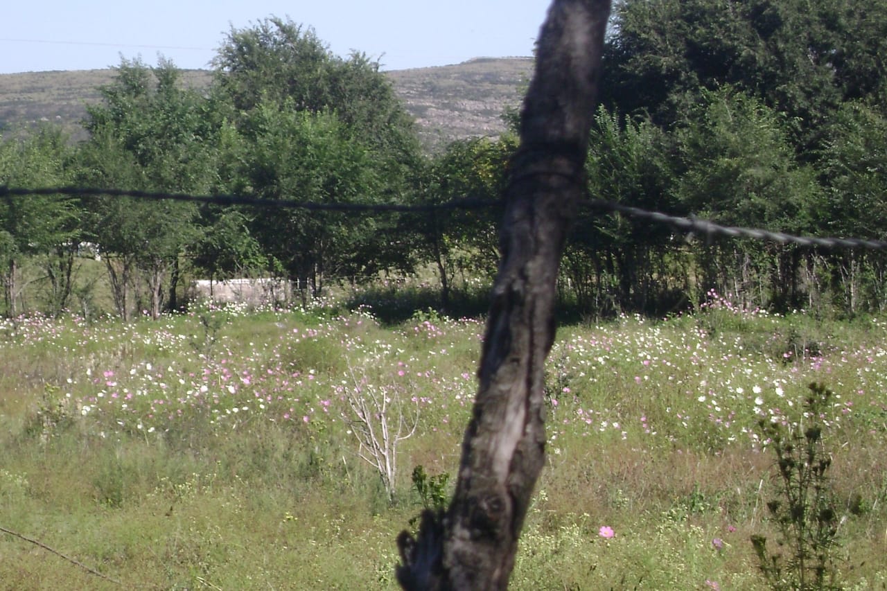 VENTA. TERRENO. LA CUMBRE. VALLE DE PUNILLA. CÓRDOBA. POSIBILIDAD DE SUBDIVISIÓN (10 LOTES, SEGÚN OR