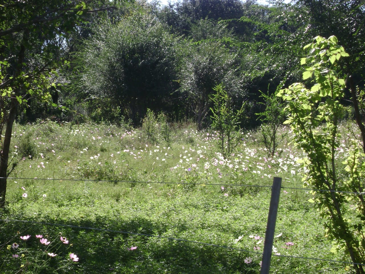 VENTA. TERRENO. LA CUMBRE. VALLE DE PUNILLA. CÓRDOBA. POSIBILIDAD DE SUBDIVISIÓN (10 LOTES, SEGÚN OR