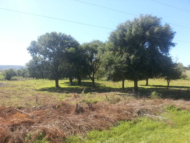 VENTA. TERRENO. LA CUMBRE. VALLE DE PUNILLA. CÓRDOBA. POSIBILIDAD DE SUBDIVISIÓN (10 LOTES, SEGÚN OR