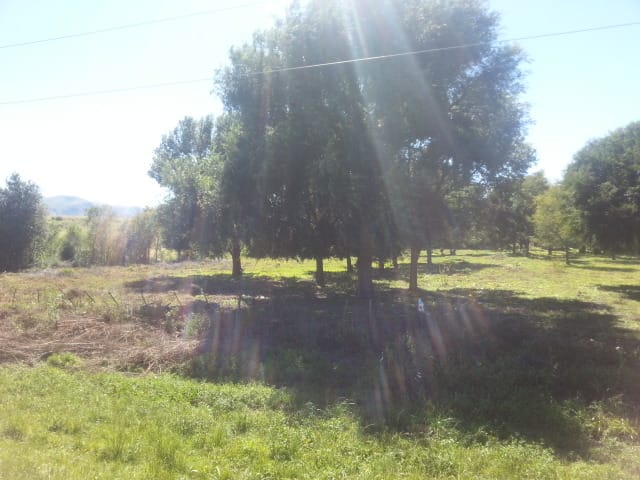 VENTA. TERRENO. LA CUMBRE. VALLE DE PUNILLA. CÓRDOBA. POSIBILIDAD DE SUBDIVISIÓN (10 LOTES, SEGÚN OR