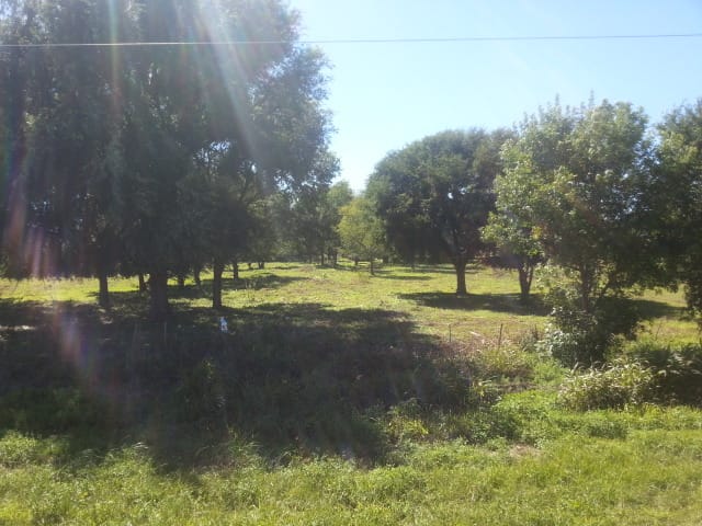 VENTA. TERRENO. LA CUMBRE. VALLE DE PUNILLA. CÓRDOBA. POSIBILIDAD DE SUBDIVISIÓN (10 LOTES, SEGÚN OR