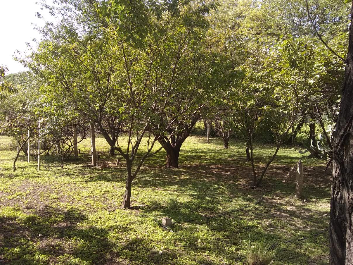 Vendo casa quinta en los molles