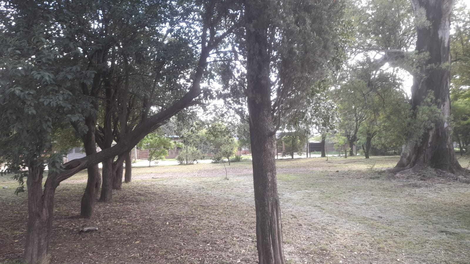 Casa y lotes en La Donosa, Villa Del Prado