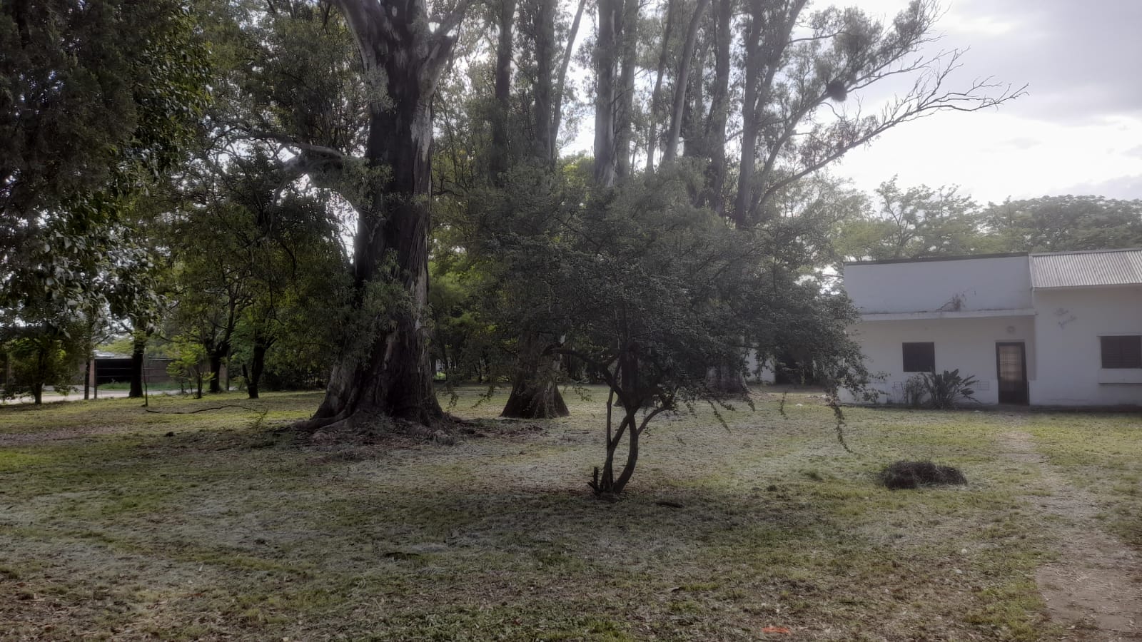 Casa y lotes en La Donosa, Villa Del Prado
