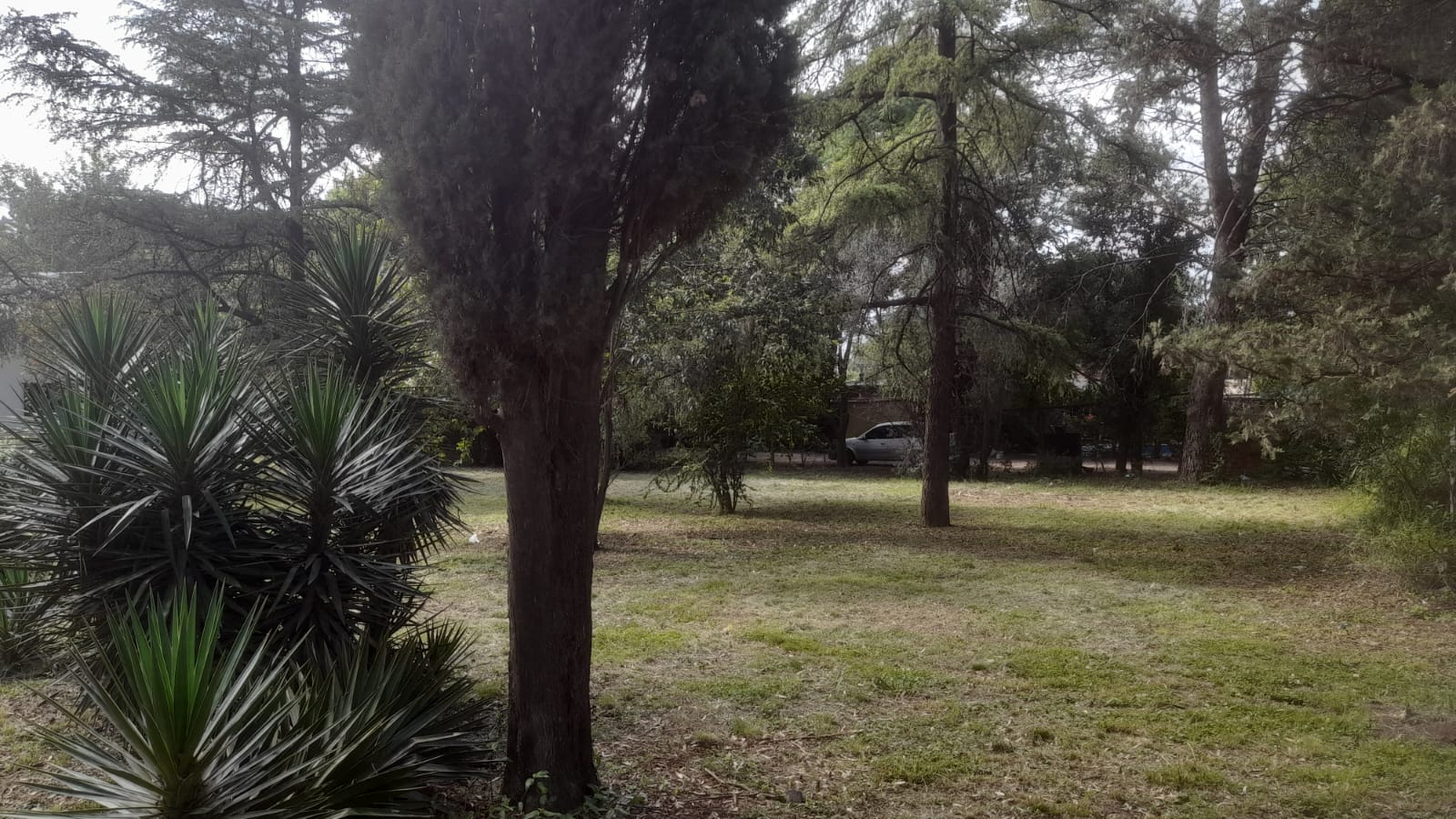 Casa y lotes en La Donosa, Villa Del Prado