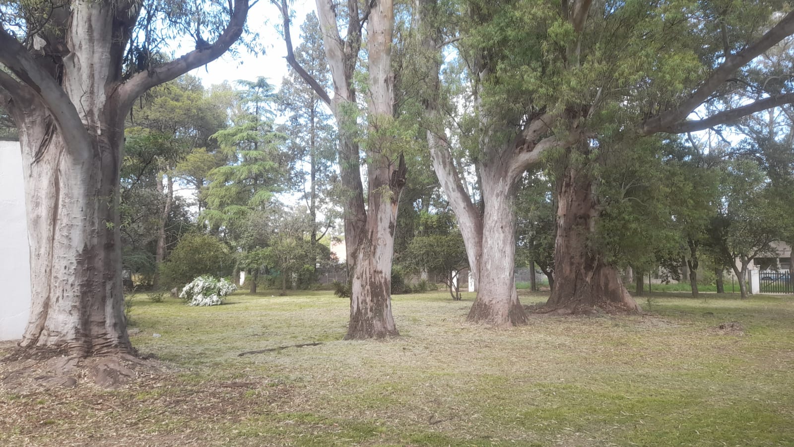 Casa y lotes en La Donosa, Villa Del Prado