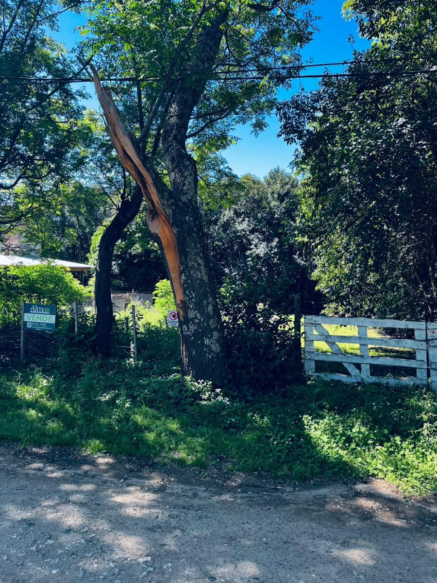 Hermoso terreno en zona céntrica, posesión por Escribanía