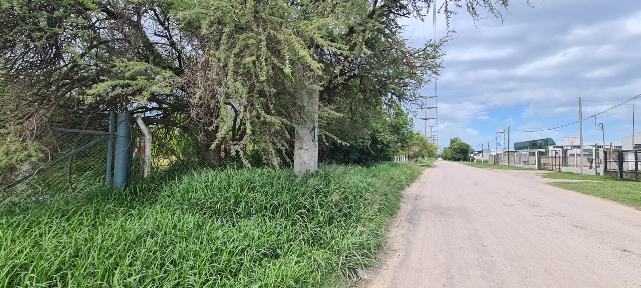 TERRENO GUIÑAZÚ