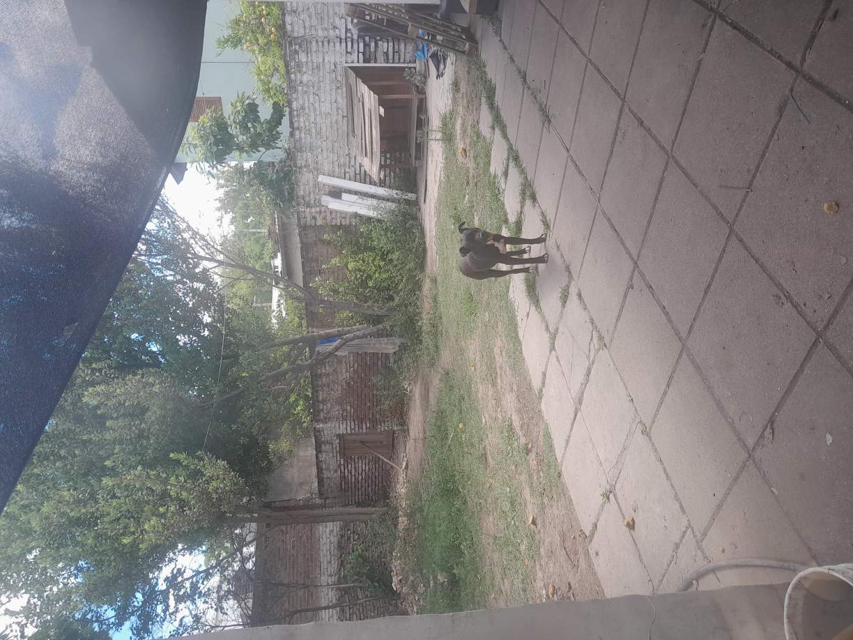 Vendo Casa Oportunidad