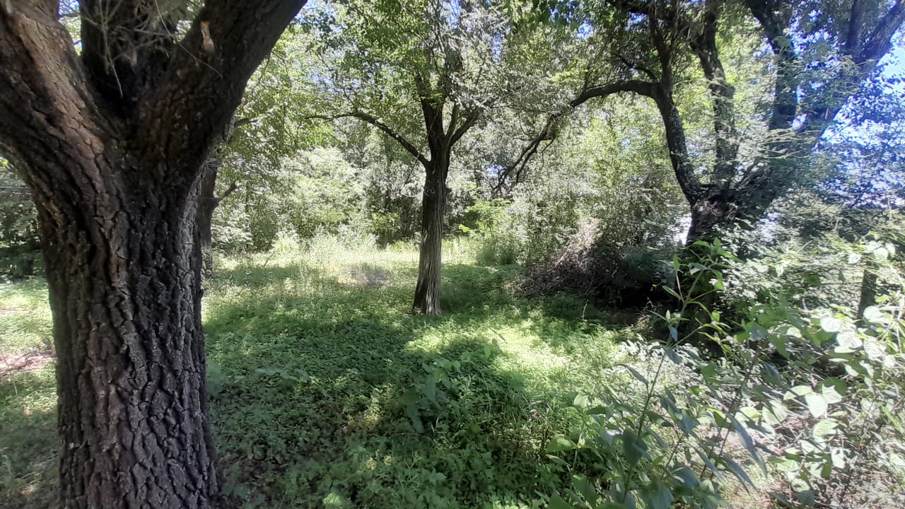 Casa 3 ambientes A REFACCIONAR, Villa Quillinzo de Calamuchita. OPORTUNIDAD