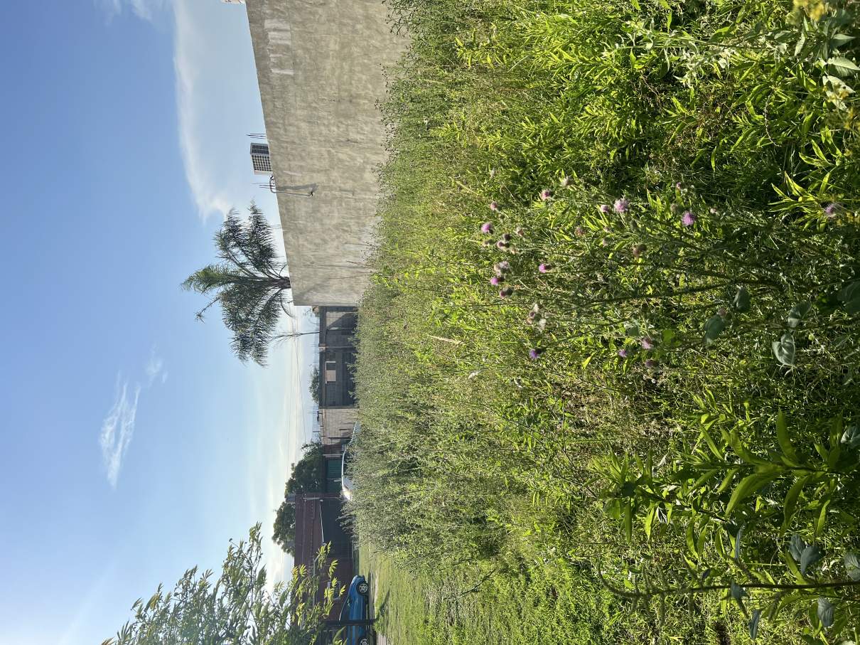 Oportunidad Única  Lote  Los Robles  Cordoba