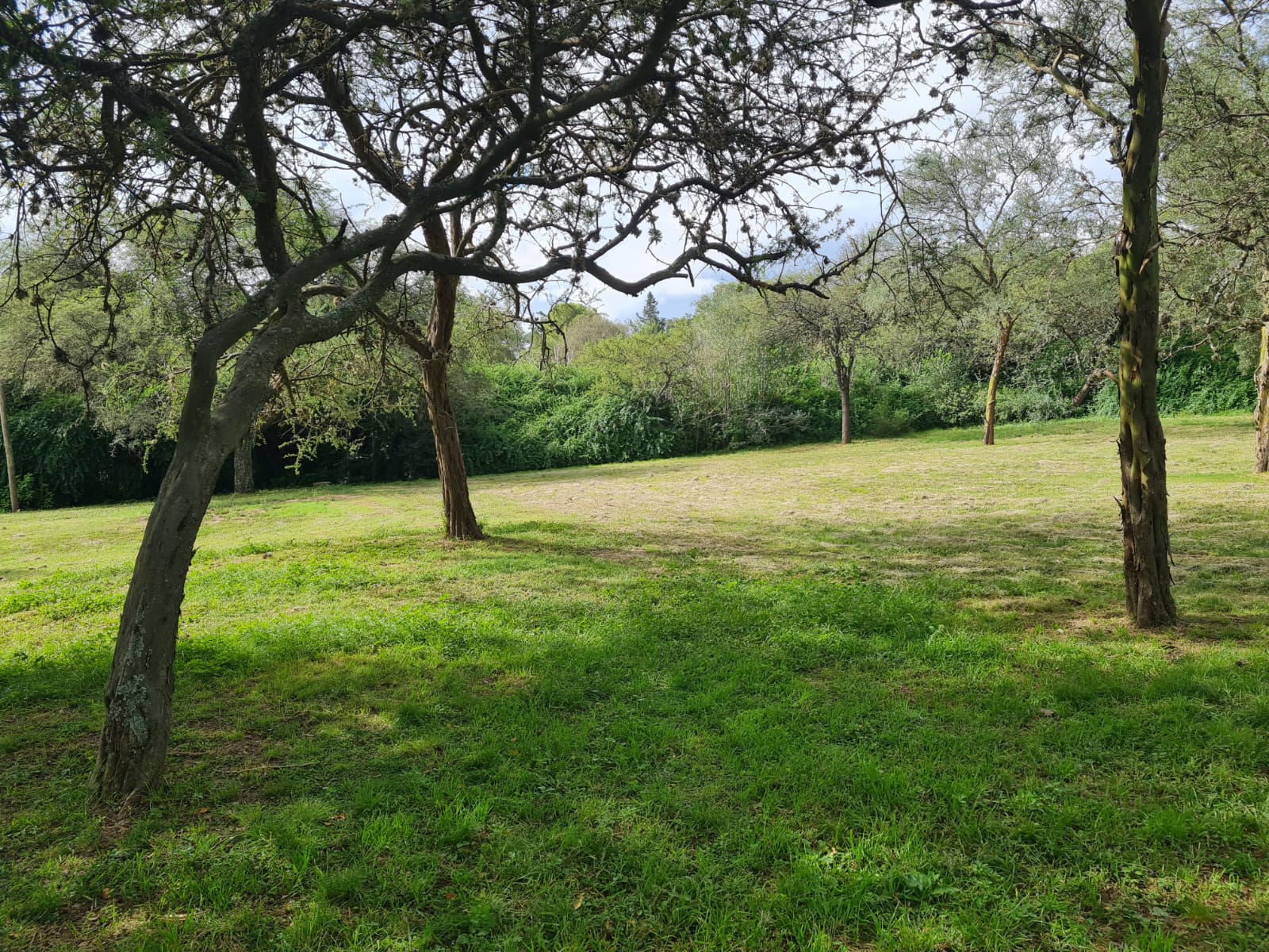 OPORTUNIDAD. Venta. Lote. Exclusivo barrio cerrado Los Molles, Villa General Belgrano. Sierras de Có