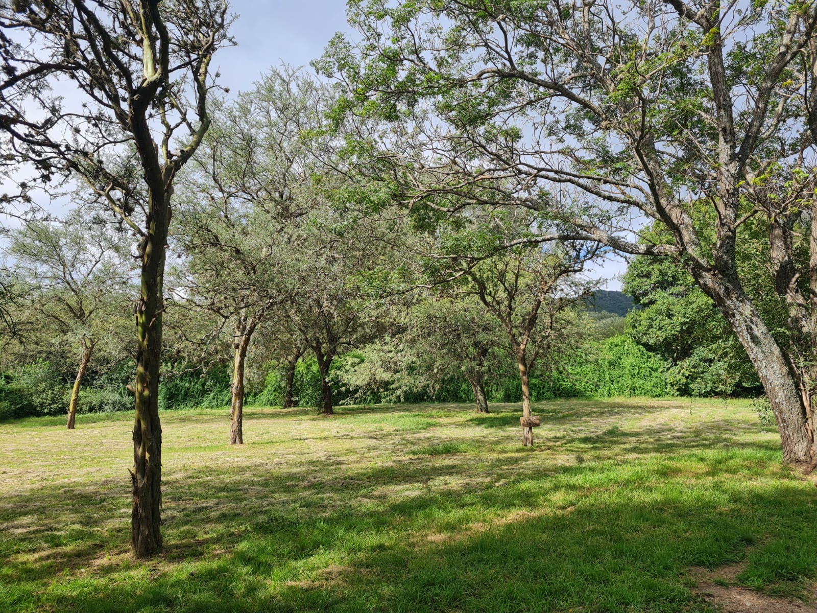 OPORTUNIDAD. Venta. Lote. Exclusivo barrio cerrado Los Molles, Villa General Belgrano. Sierras de Có