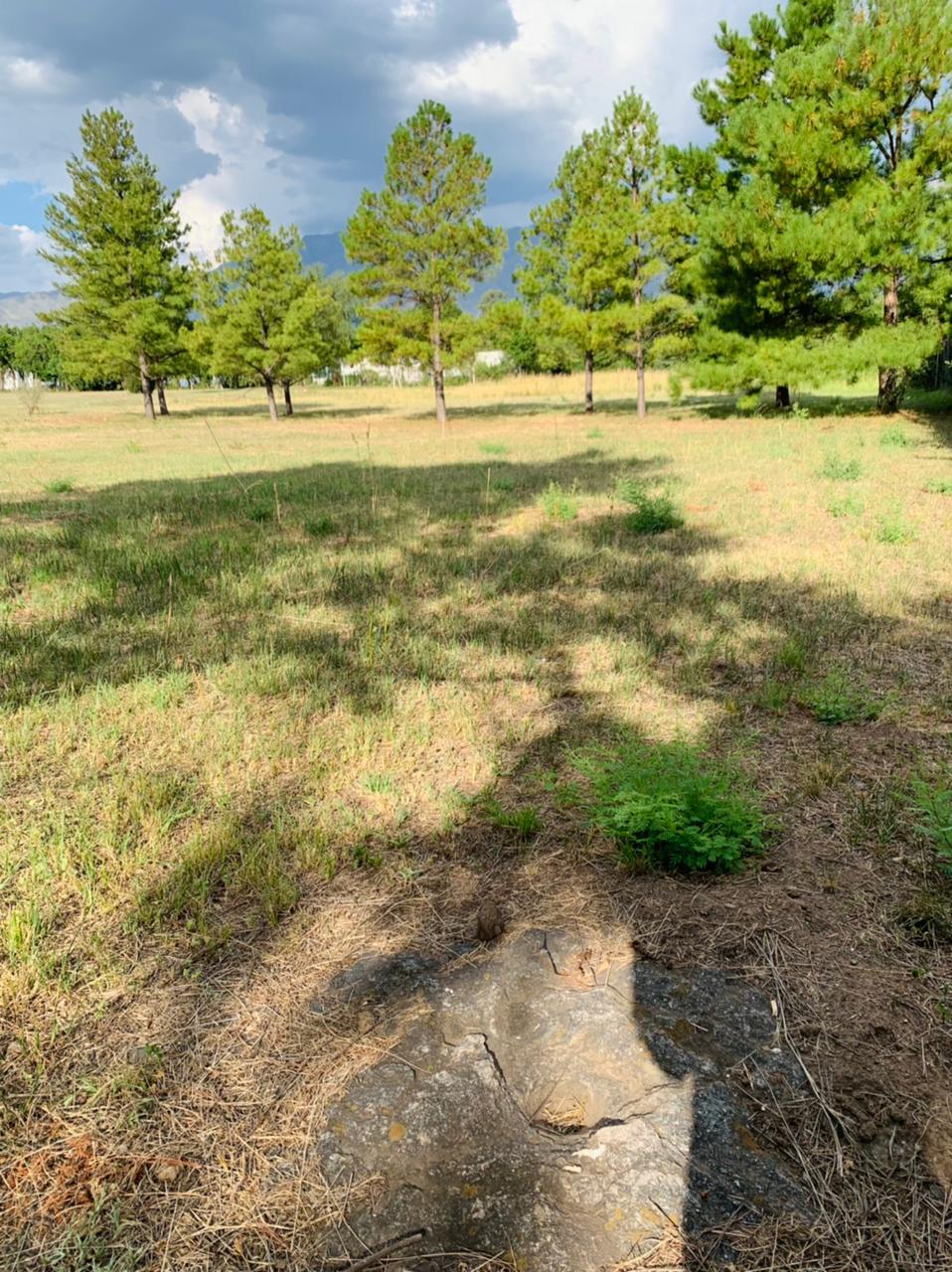 Terreno único en San Javier Yacanto, traslasierras provincia de Córdoba