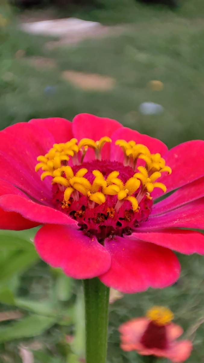 Casa en Venta en Yacanto , Valle de Calamuchita