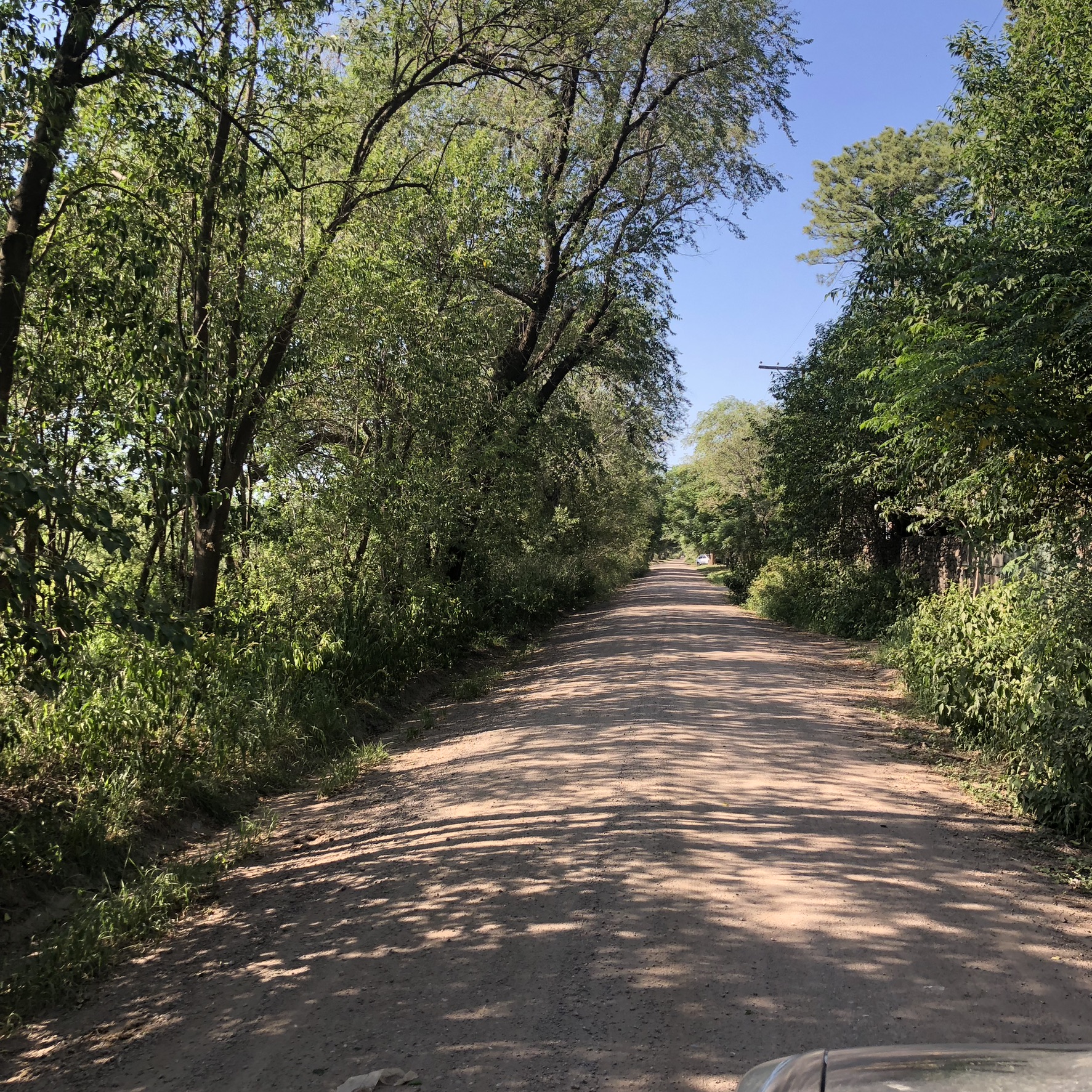 TERRENO EN VENTA DE 10.000 M2 EN B SAN RAMON , ZONA VILLA ESQUIU