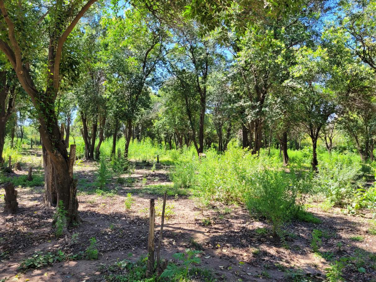 Vendo Lote en Unquillo, 1763 m en Altos de San José