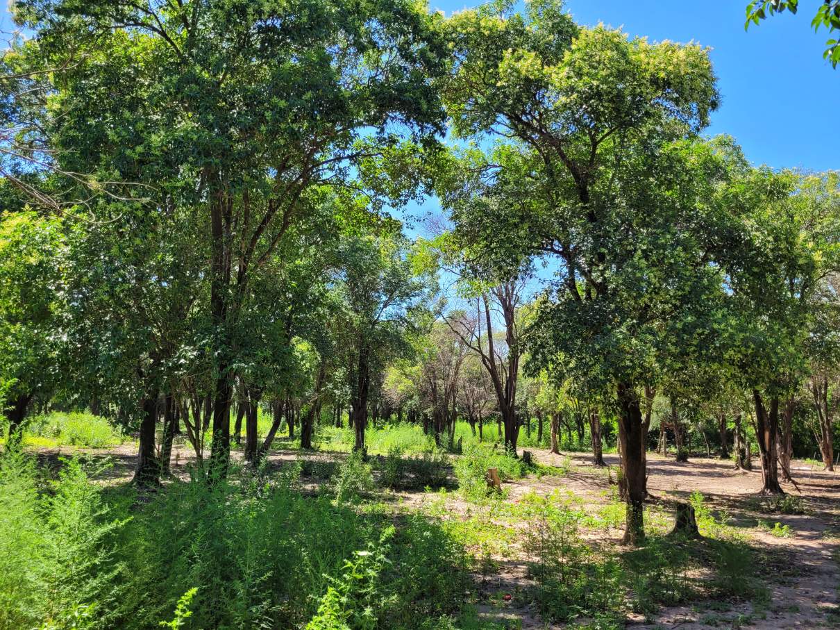 Vendo Lote en Unquillo, 1763 m en Altos de San José