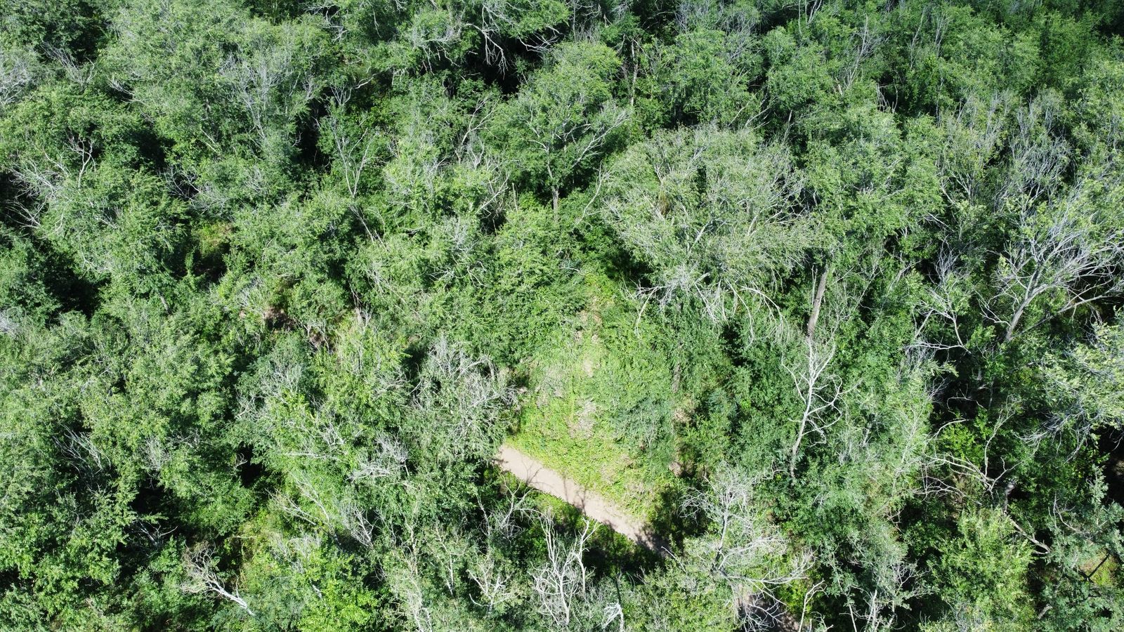 Se vende lote en barrio Villa Parque San Jorge, Molinari. Provincia de Córdoba.