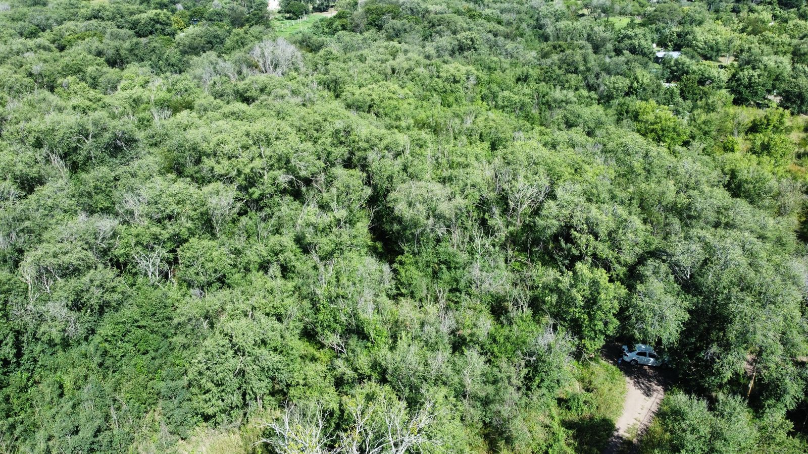 Se vende lote en barrio Villa Parque San Jorge, Molinari. Provincia de Córdoba.