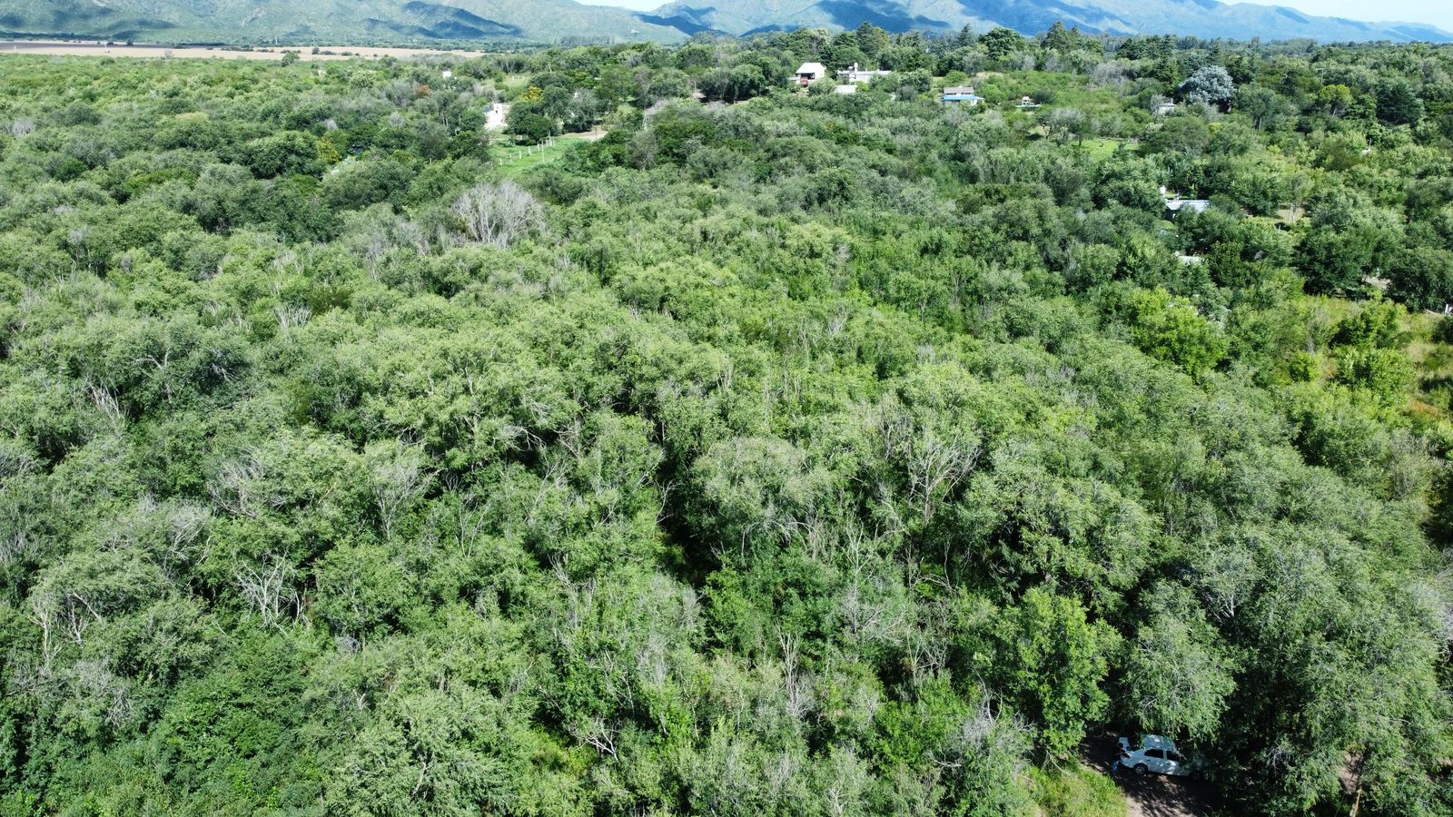 Se vende lote en barrio Villa Parque San Jorge, Molinari. Provincia de Córdoba.