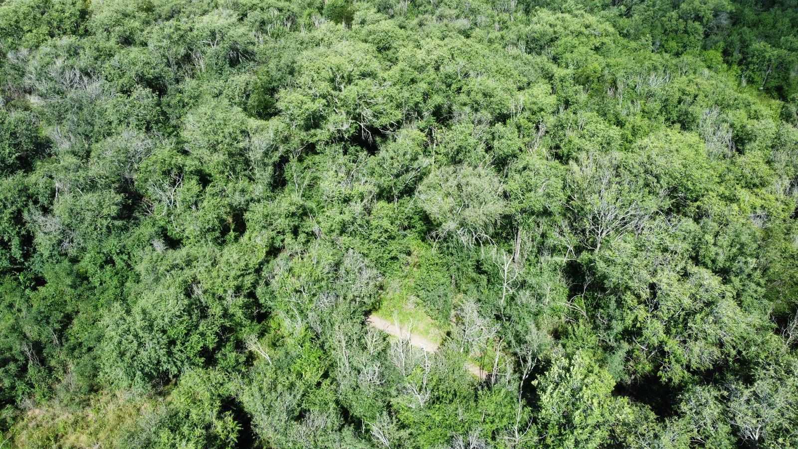 Se vende lote en barrio Villa Parque San Jorge, Molinari. Provincia de Córdoba.