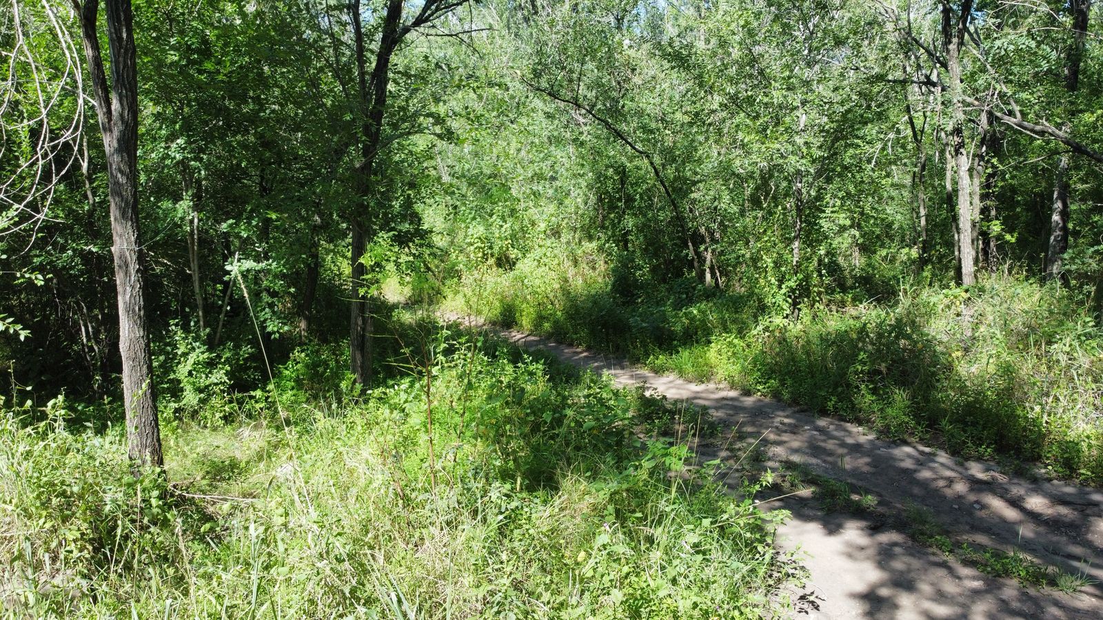 Se vende lote en barrio Villa Parque San Jorge, Molinari. Provincia de Córdoba.