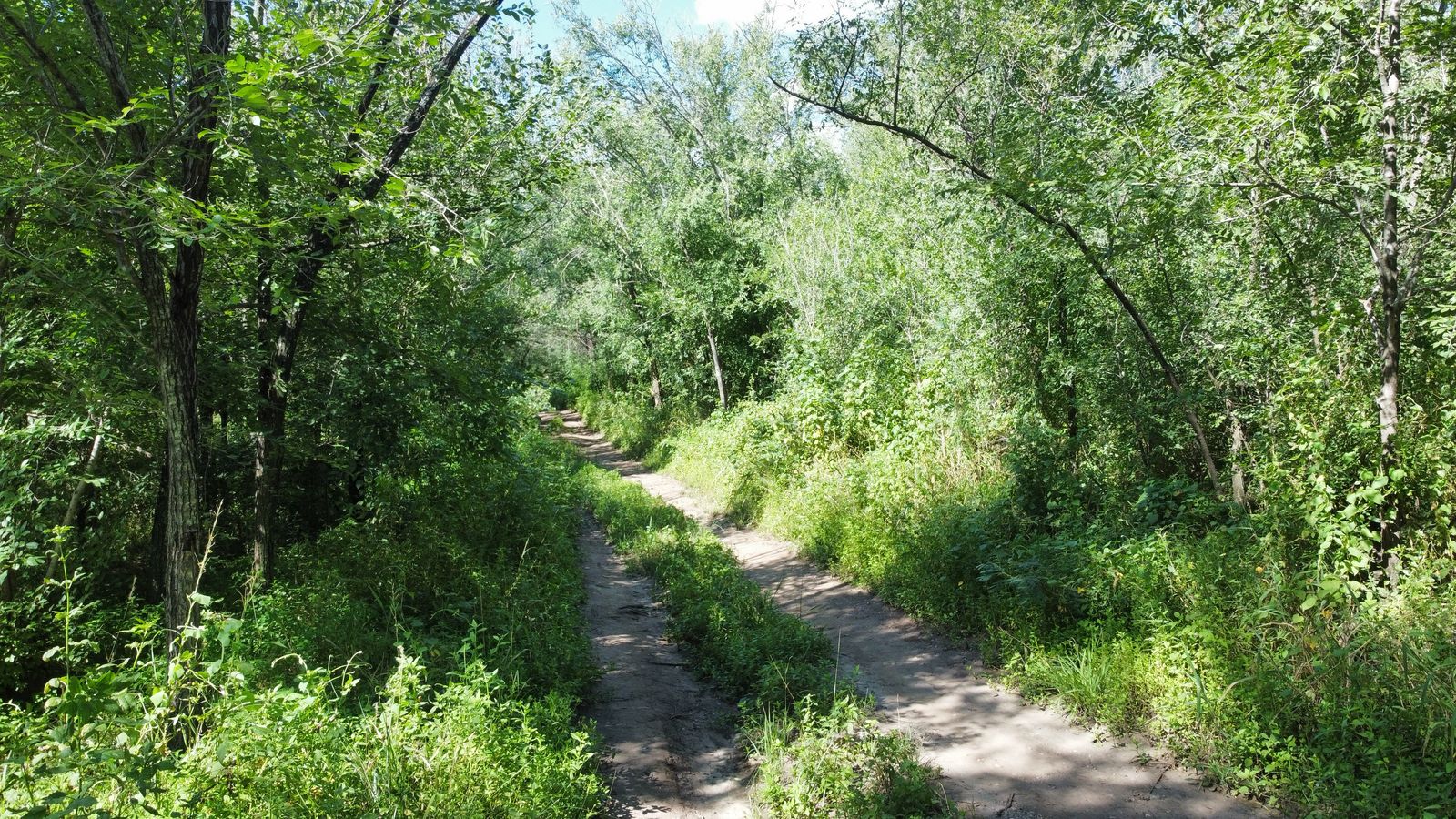 Se vende lote en barrio Villa Parque San Jorge, Molinari. Provincia de Córdoba.