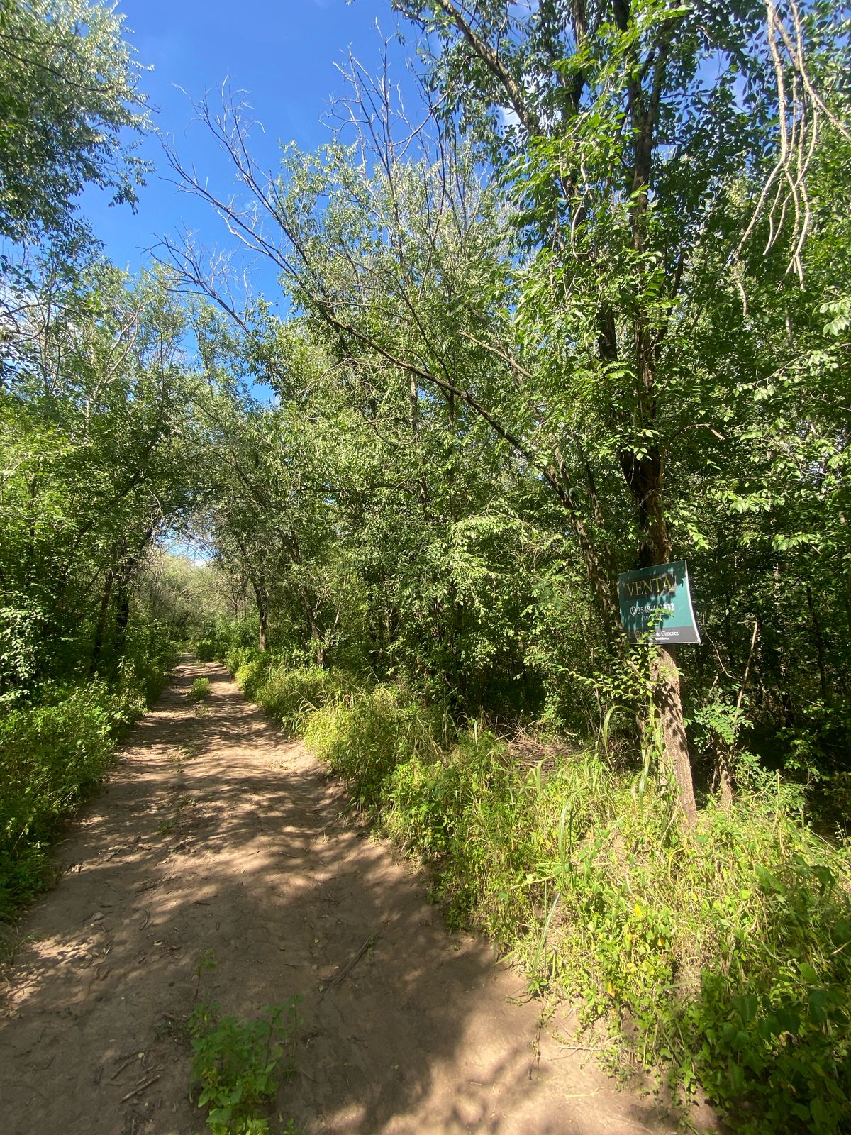 Se vende lote en barrio Villa Parque San Jorge, Molinari. Provincia de Córdoba.