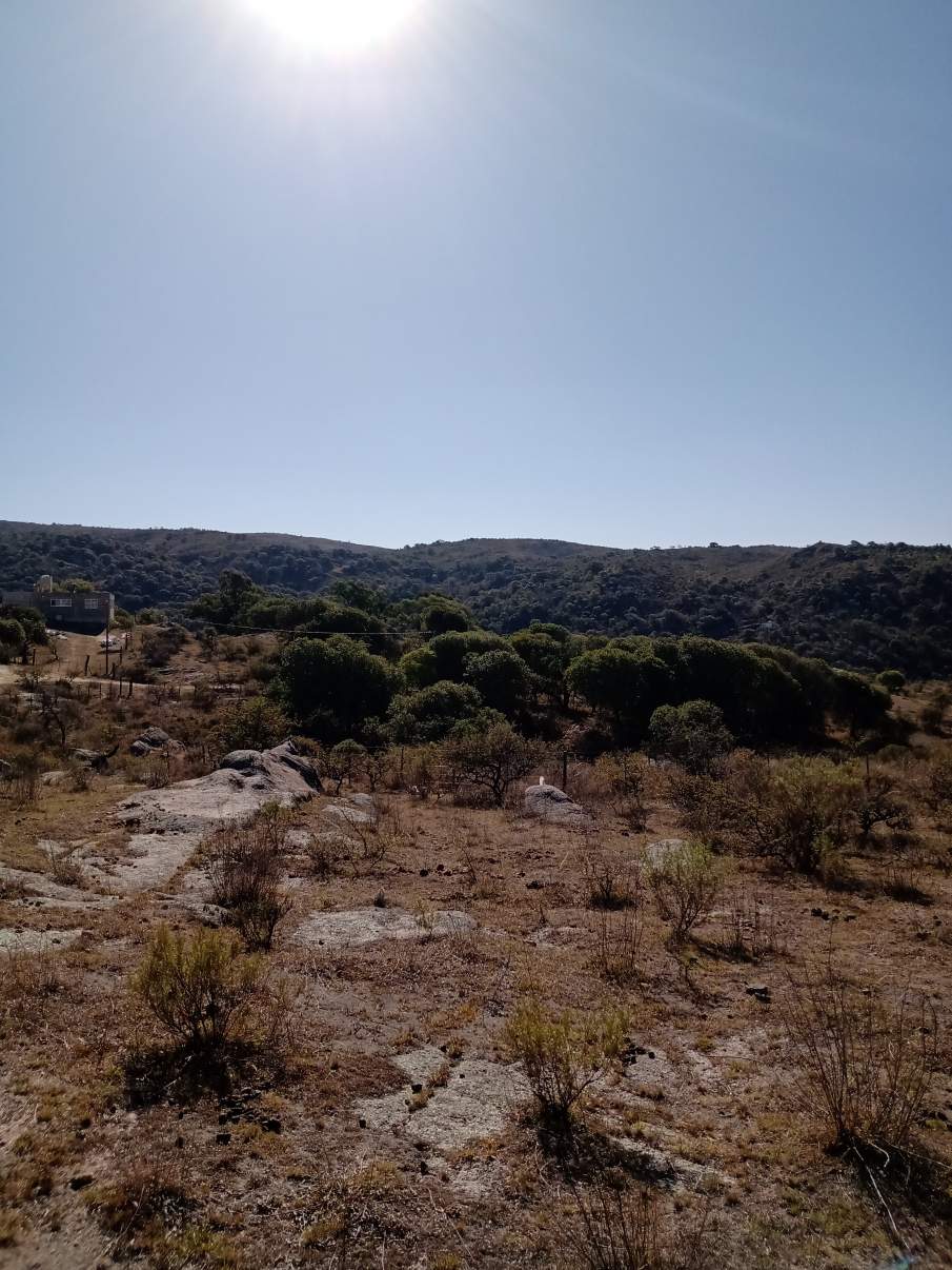 LOTE EN VENTA EN COMUNA PARQUE CALMAYO-SANTA ROSA DE CALAMUCHITA