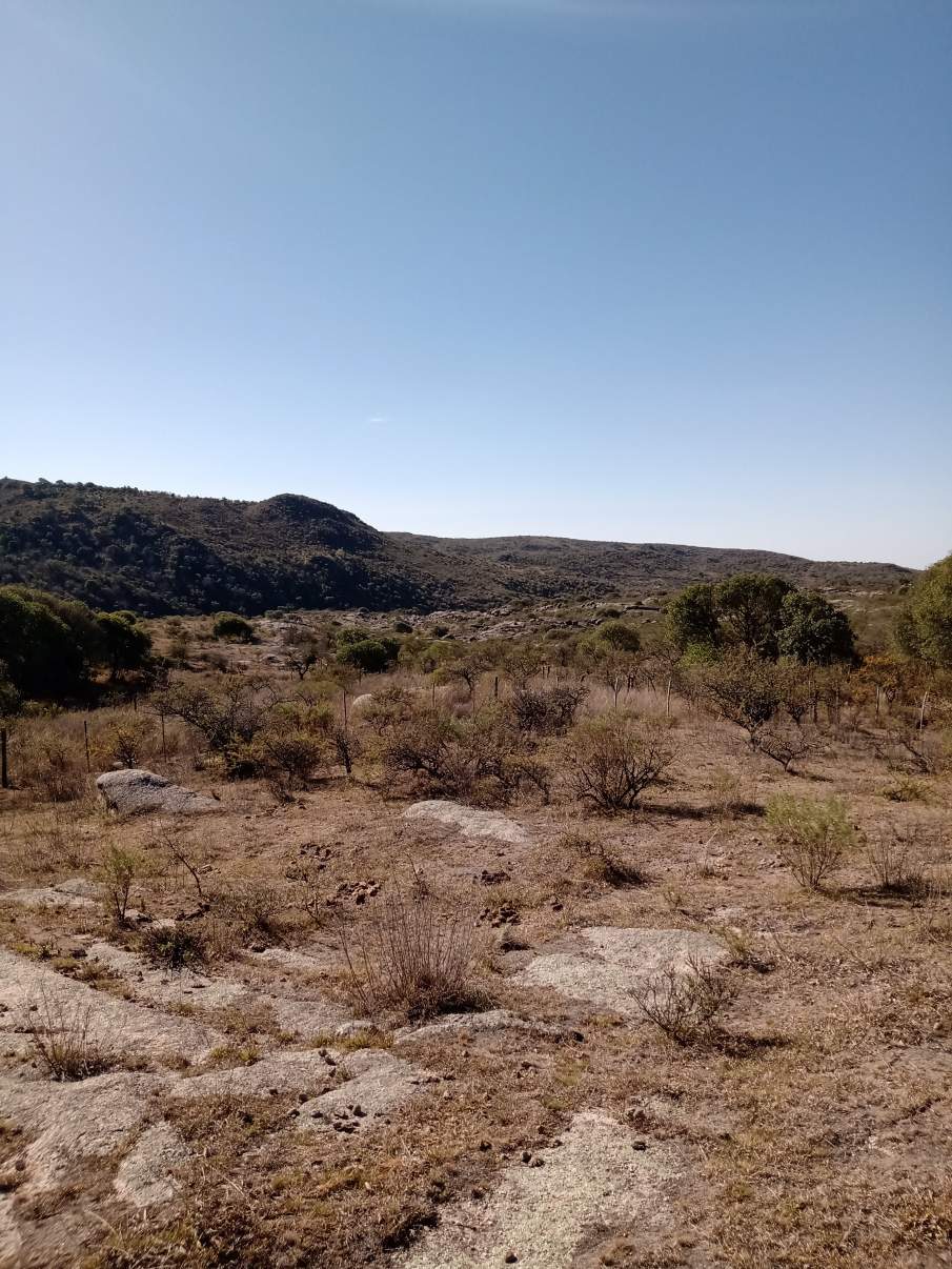 LOTE EN VENTA EN COMUNA PARQUE CALMAYO-SANTA ROSA DE CALAMUCHITA