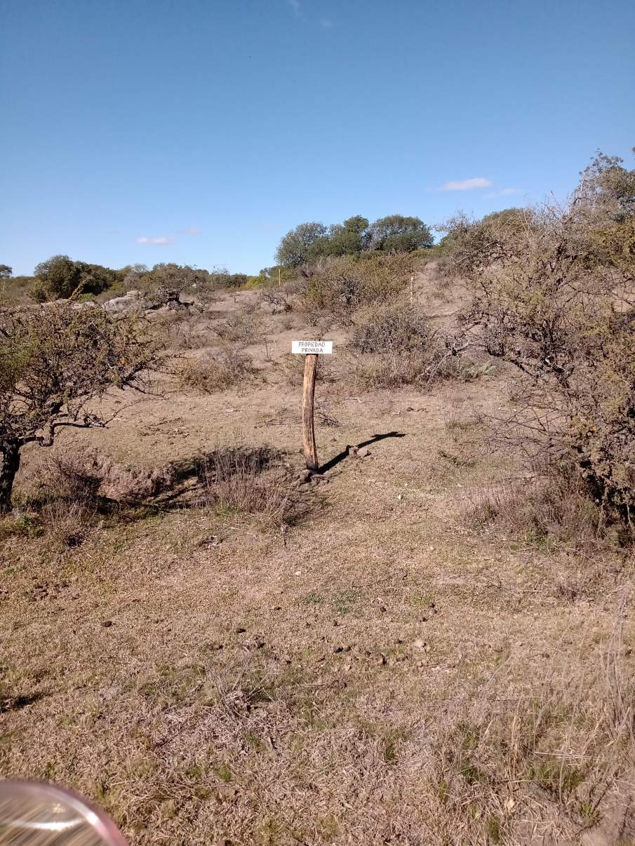 LOTE EN VENTA EN COMUNA PARQUE CALMAYO-SANTA ROSA DE CALAMUCHITA