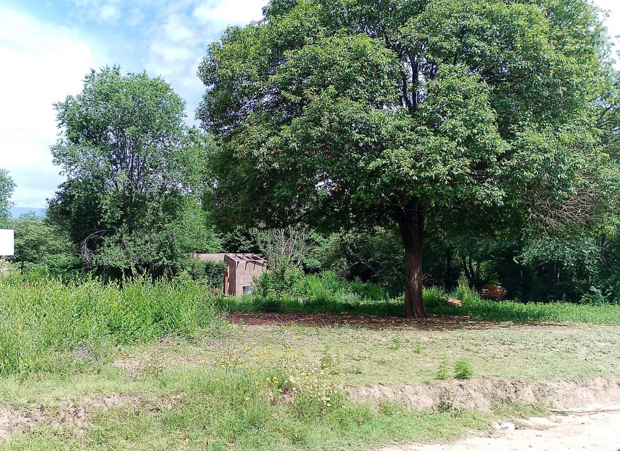 LOTES EN VENTA EN SANTA MÓNICA-SANTA ROSA DE CALAMUCHITA