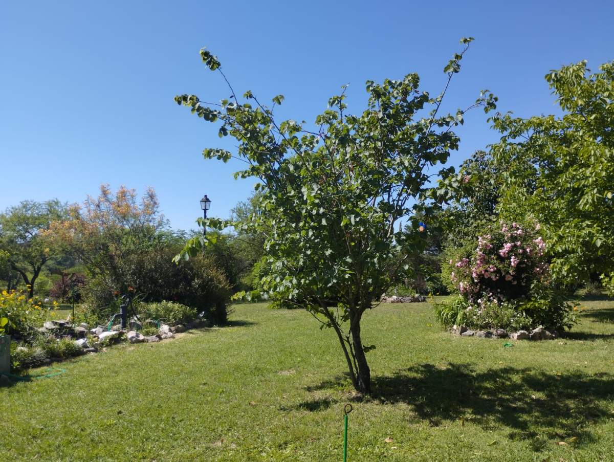LOTES EN VENTA EN SANTA MÓNICA-SANTA ROSA DE CALAMUCHITA