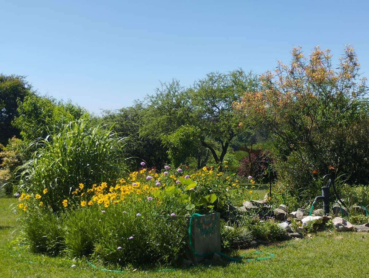 LOTES EN VENTA EN SANTA MÓNICA-SANTA ROSA DE CALAMUCHITA