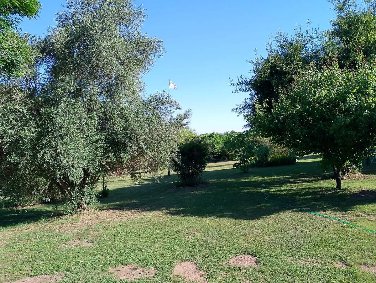 LOTES EN VENTA EN SANTA MÓNICA-SANTA ROSA DE CALAMUCHITA