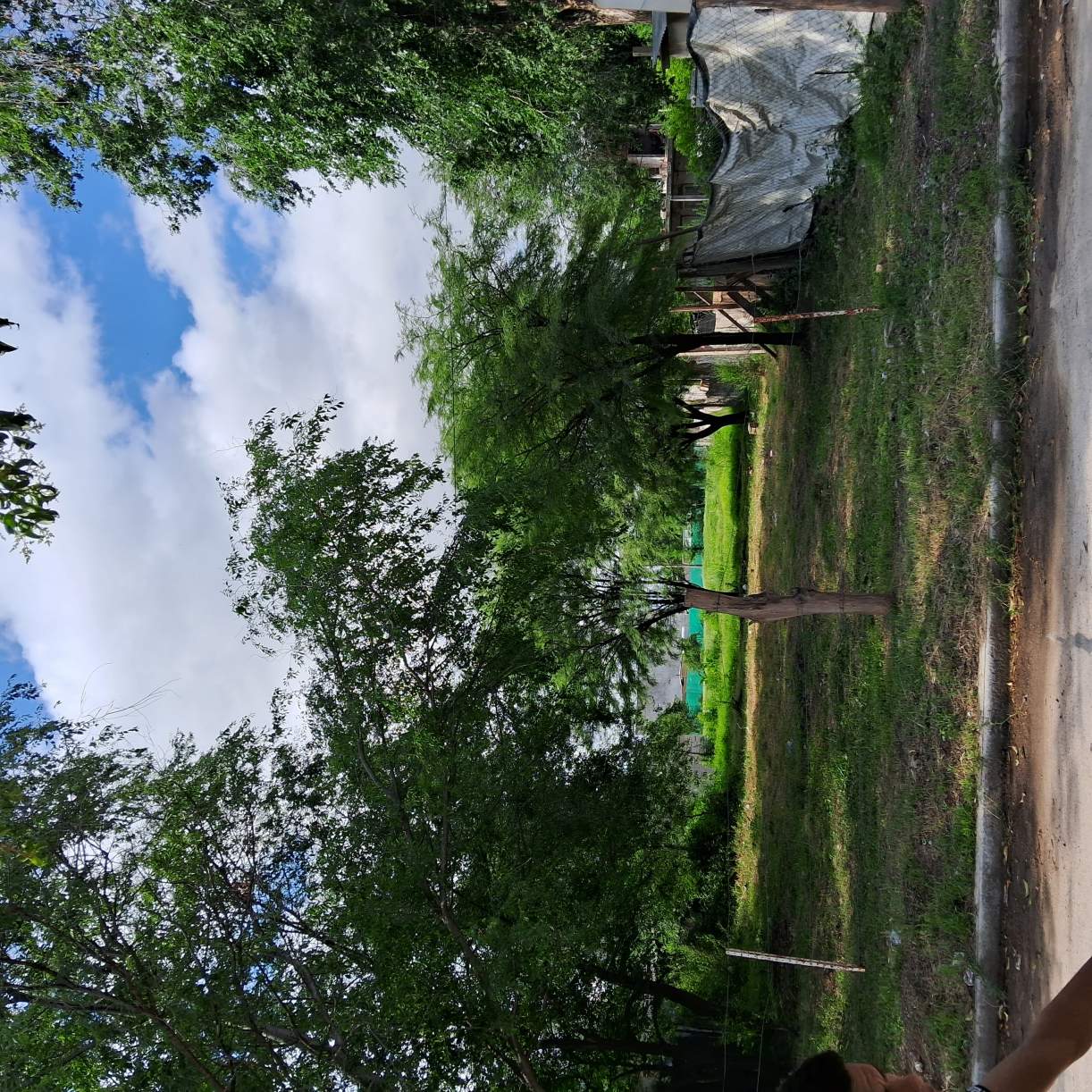 Terreno en Venta BAutodromo - Arguello