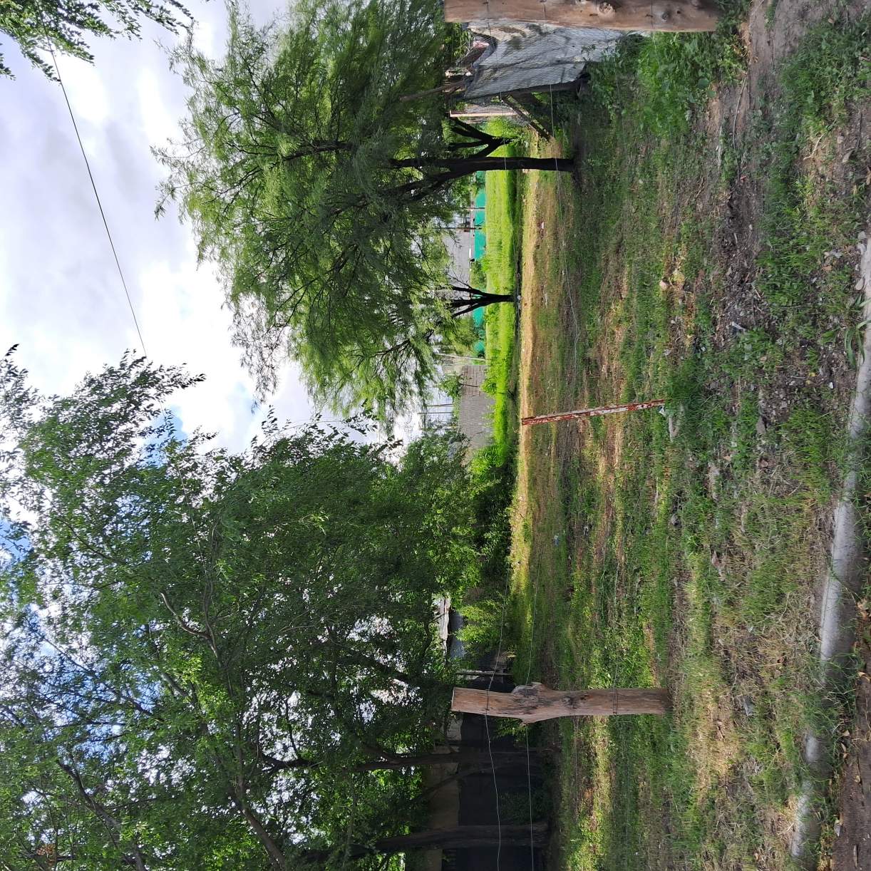 Terreno en Venta BAutodromo - Arguello