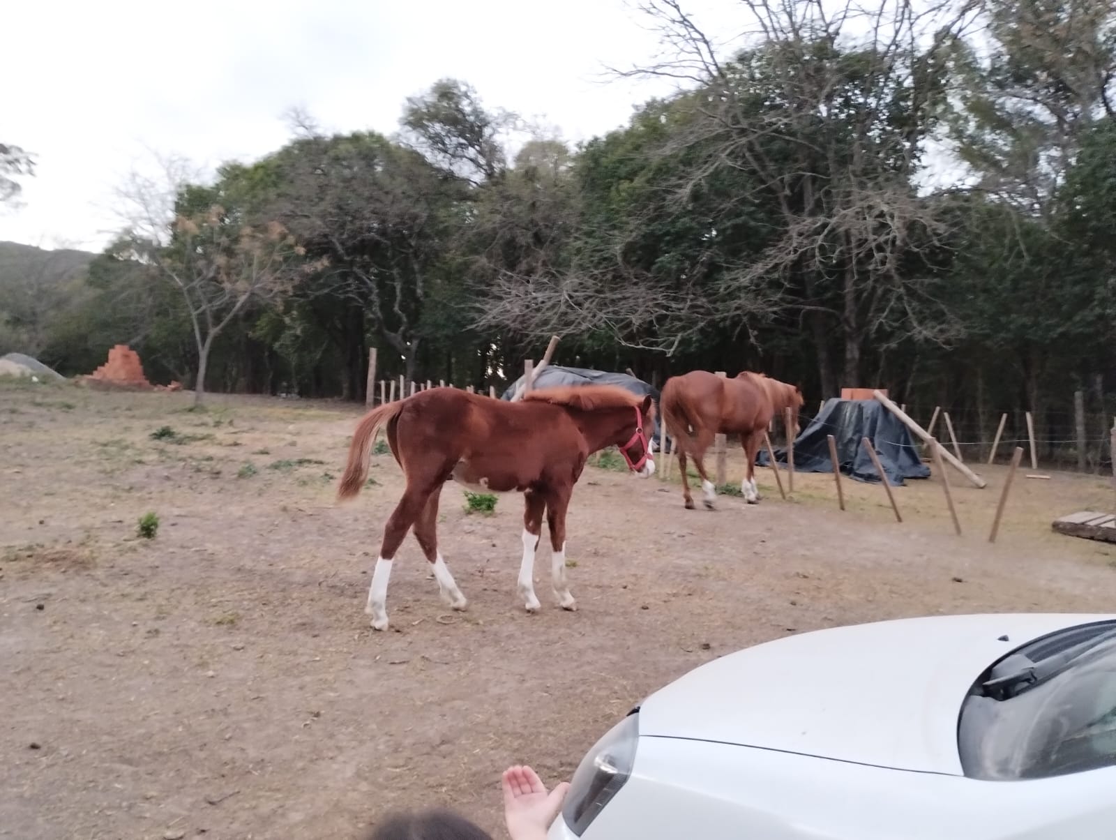Lote 13030 m2 con quincho - Las Ensenadas - Unquillo
