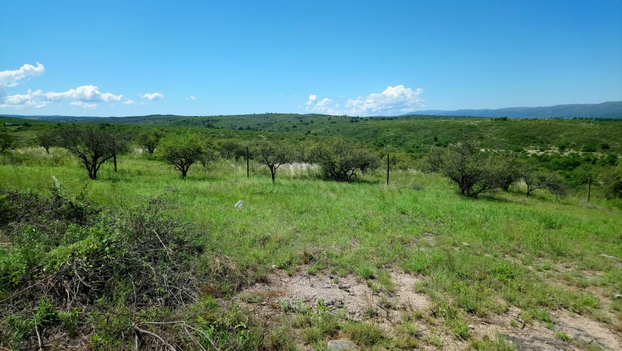 Lotes Mirador del Lago - Bialet Masse